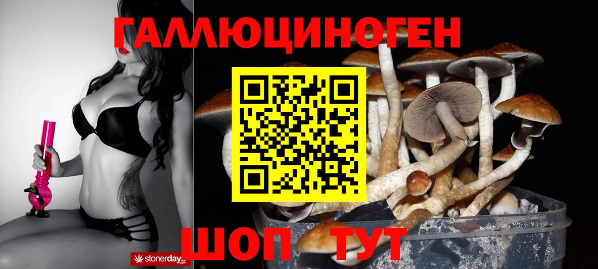 Алексин  Галлюциногенные грибы ЛСД  Вход с VPN 