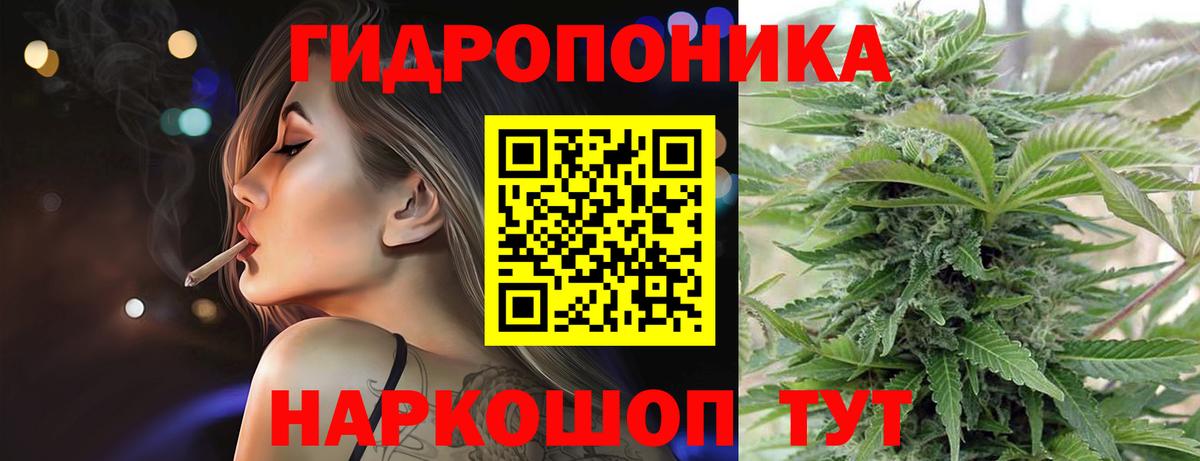 Конопля конопля Алексин